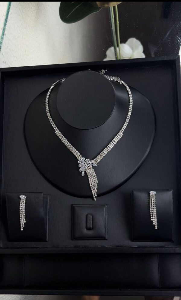 WhatsApp Image 2025-11-25 at 1.37.26 PM (3)